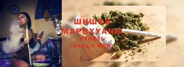 дмт Новодвинск