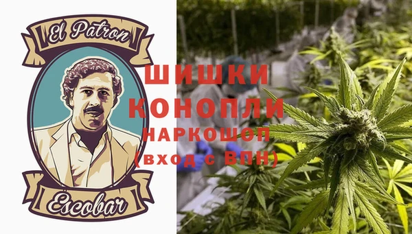 ПСИЛОЦИБИНОВЫЕ ГРИБЫ Аркадак
