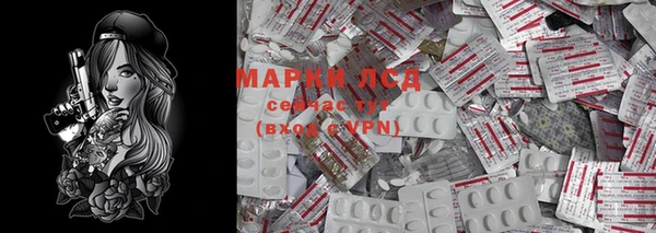 соль ск Новозыбков