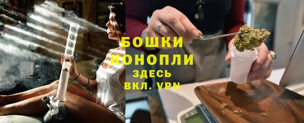 ПСИЛОЦИБИНОВЫЕ ГРИБЫ Аркадак